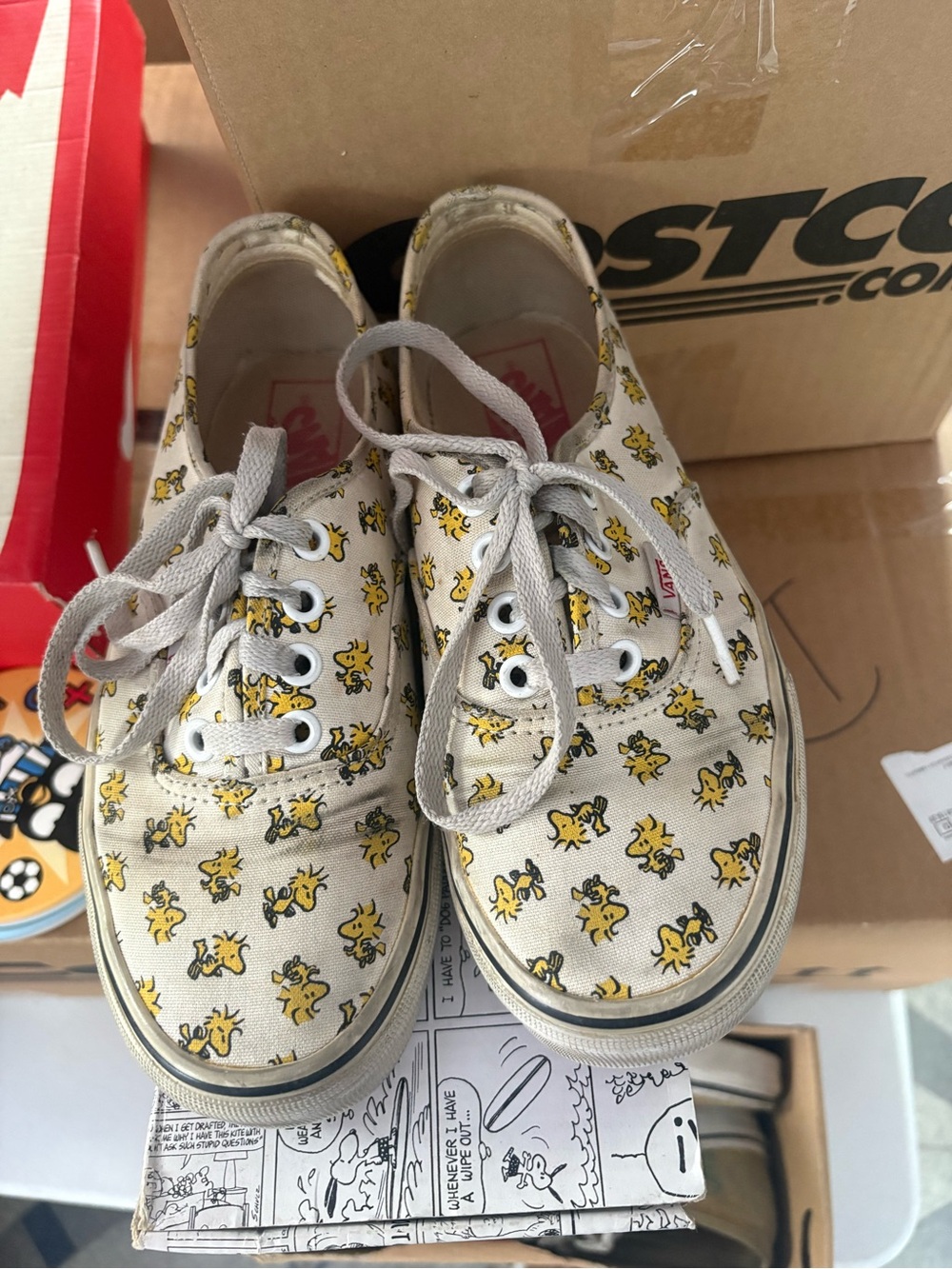 Vans Peanuts, Woodstock Collab